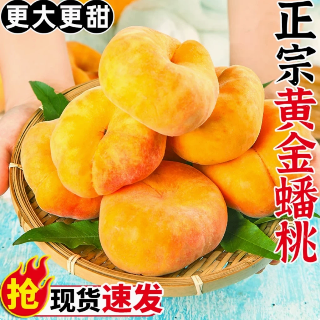 蒙阴黄金蟠桃毛桃正宗黄桃扁桃水蜜桃多汁香甜爆汁包赔爽口新鲜T