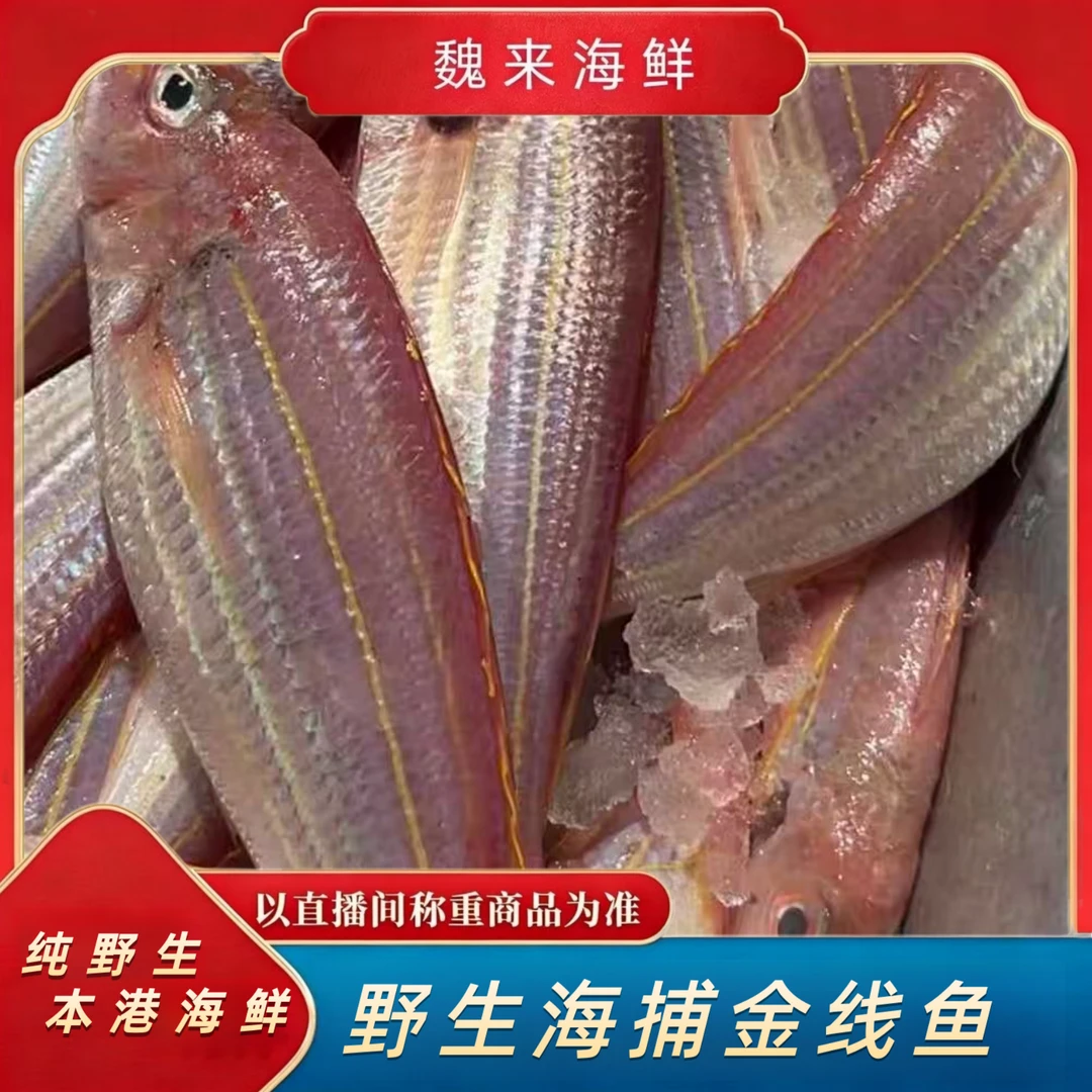 【魏来海鲜】深海金线鱼顺丰冷链发货新鲜活冻顺丰冷链到家