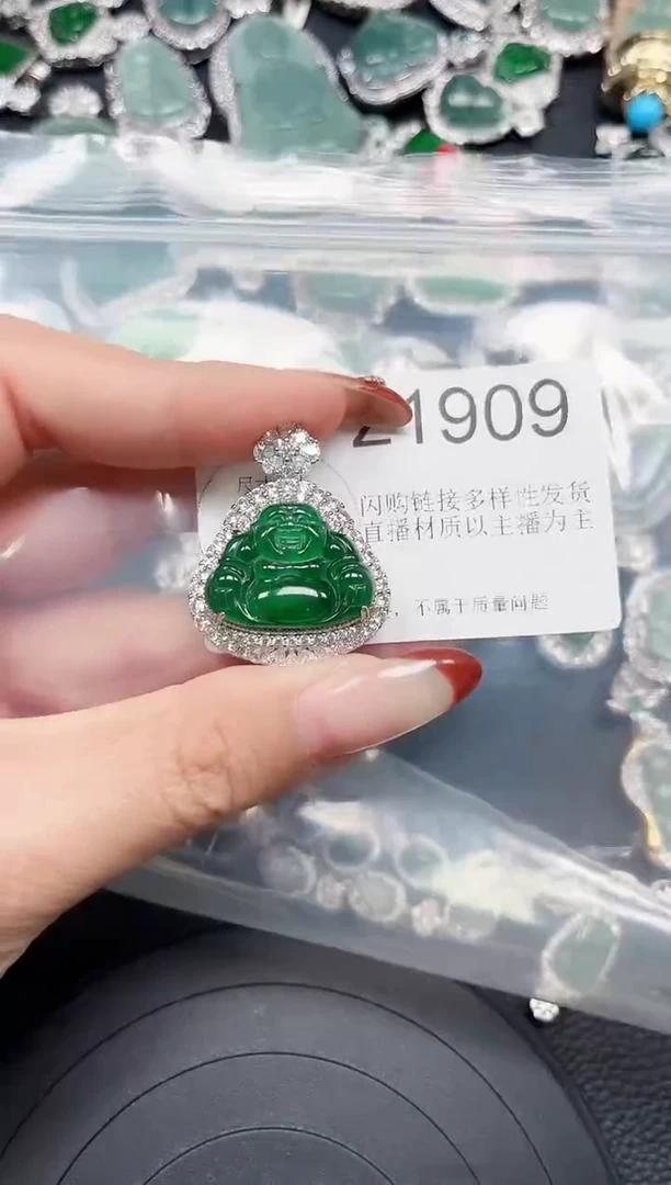 【闪购商品】翡翠颈饰未镶嵌赠皮绳1909