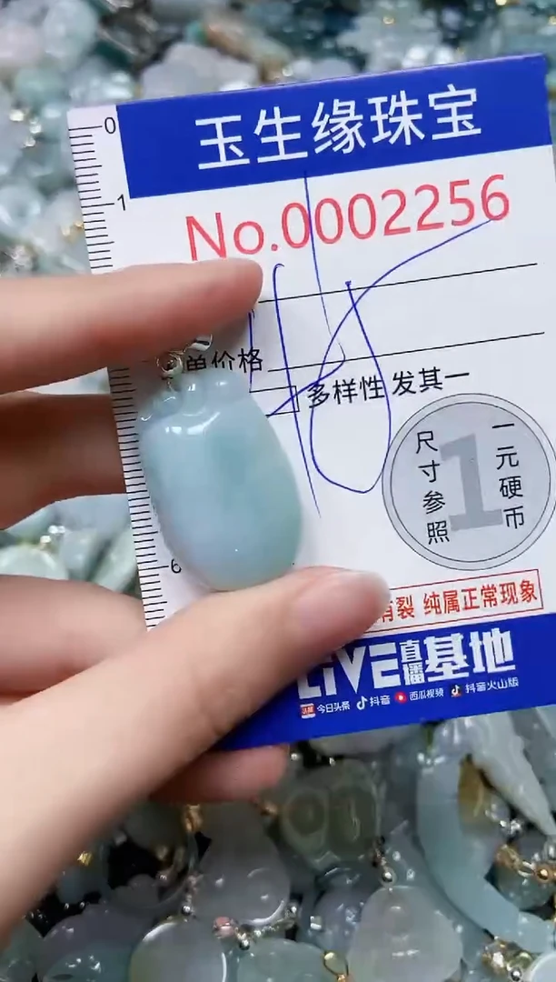 【闪购商品】翡翠颈饰未镶嵌闪购00002256