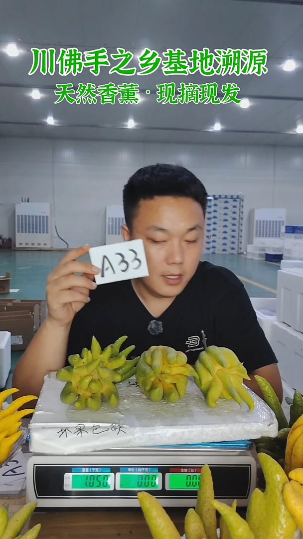 柑橘【一物一拍】川佛手柑鲜果A33