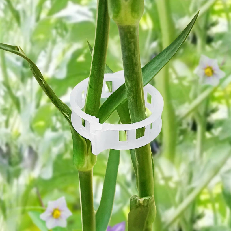 【新疆包邮】农园果蔬藤蔓固定夹爬藤落秧通用固定器可重复用爬藤扣