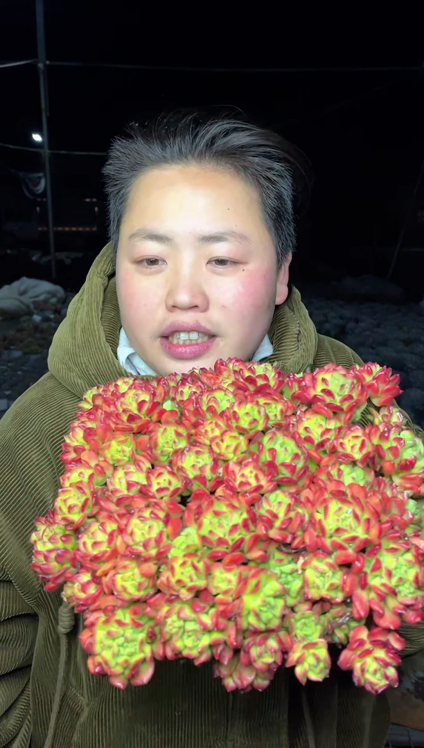 【闪购商品】81-红灯笼带盆土9.99