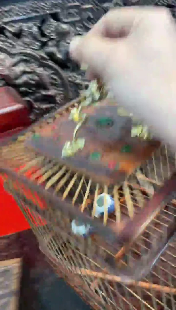 【闪购商品】木花梨木方鸟笼鸟笼