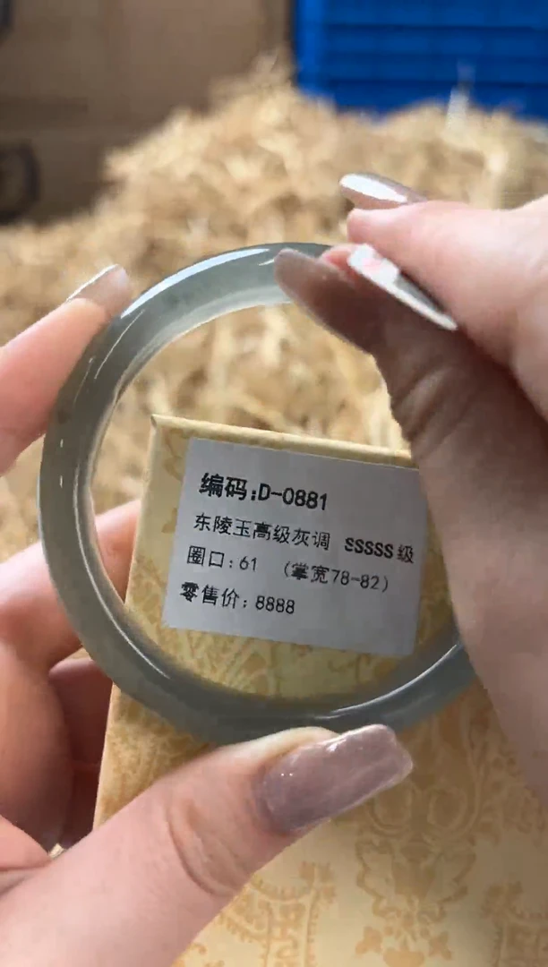 未镶嵌手镯石英质玉D-0881