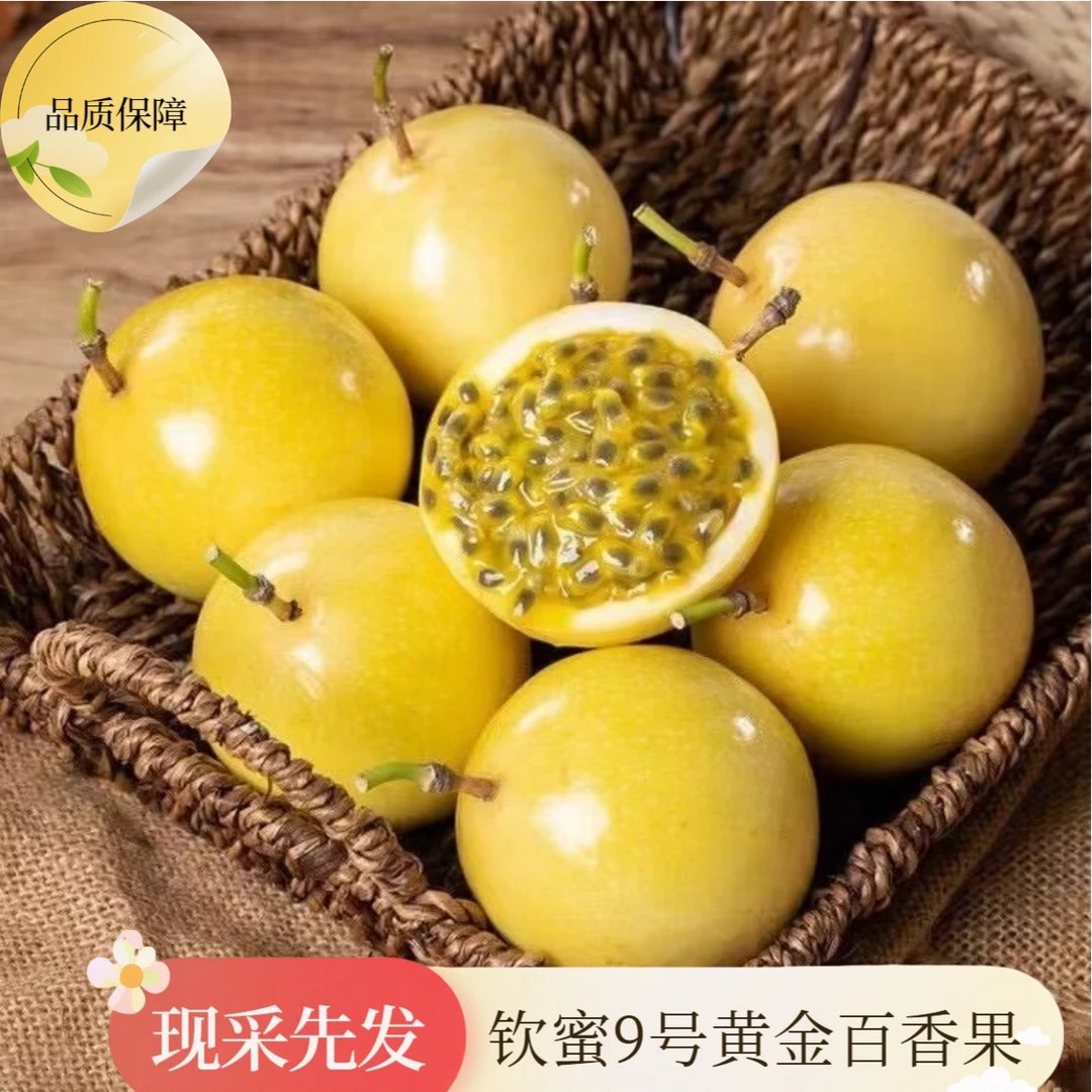 钦蜜9号黄金百香果产地直发香甜多汁广西海南新鲜孕妇水果当季JH