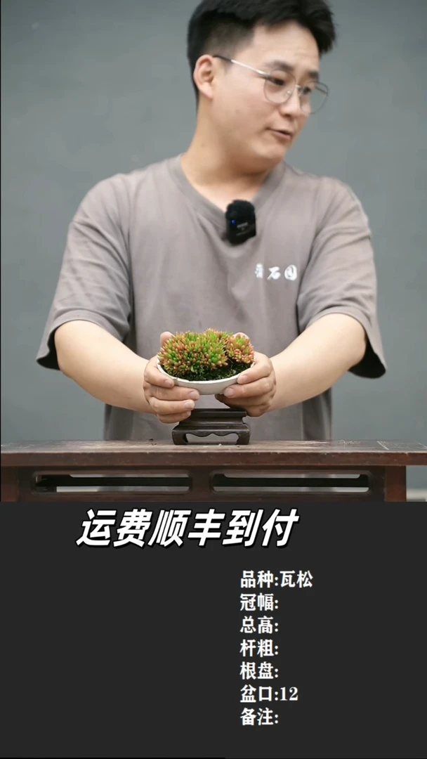 M****.10 瓦松