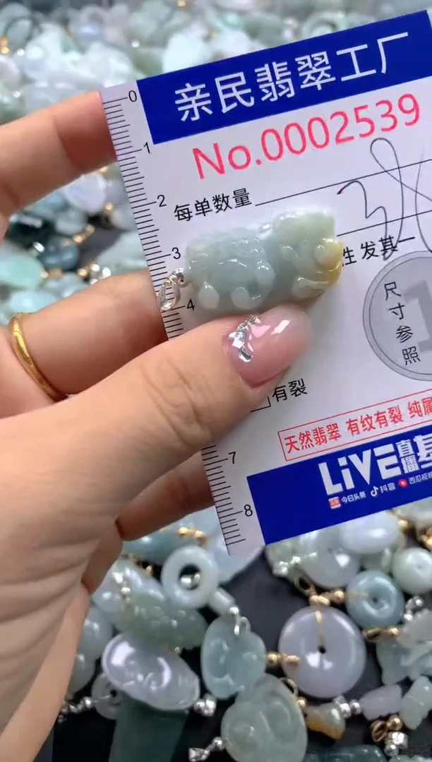 颈饰未镶嵌翡翠2539