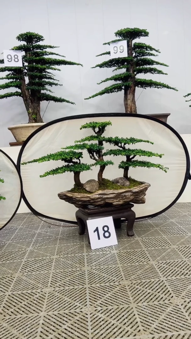 无花朵用****8造型盆景一物一拍