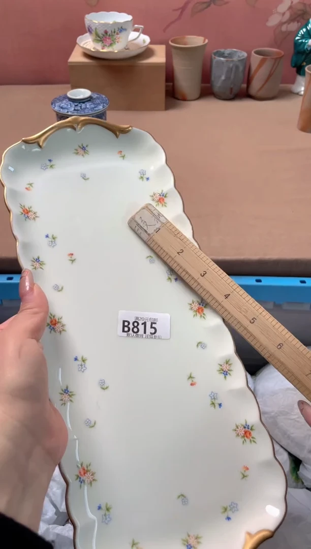 瓷片瓷器瓷器B815