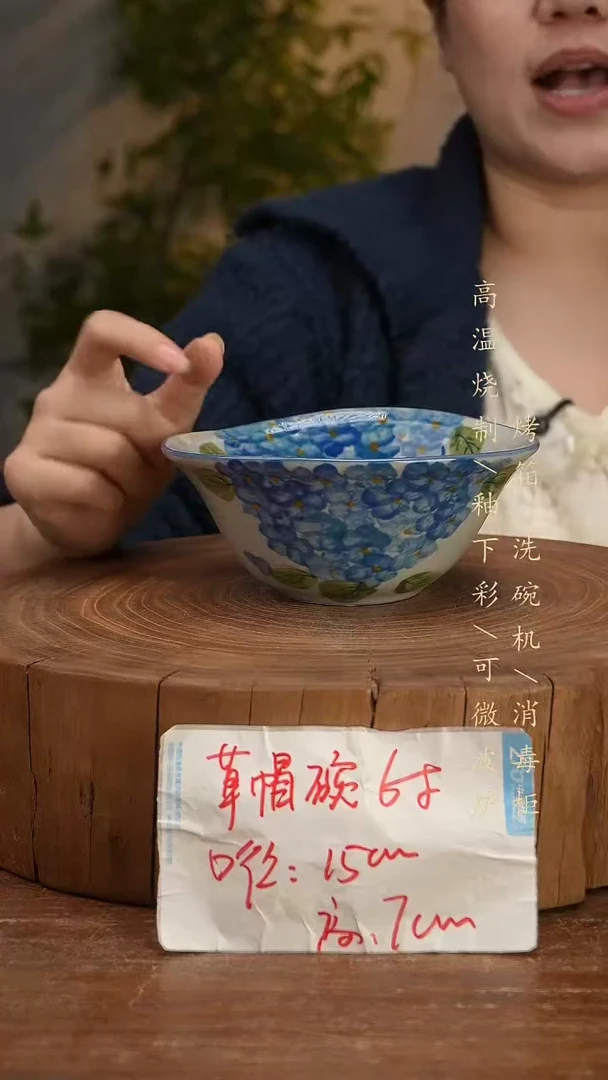 碗瓷景德镇手工手绘高温瓷釉下彩