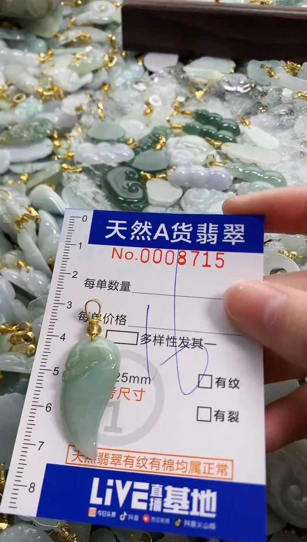 颈饰未镶嵌翡翠天然A货翡翠