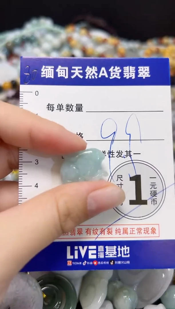 颈饰未镶嵌翡翠颈饰 未镶嵌 翡翠003