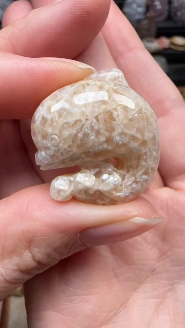 颈饰未镶嵌硅化珊瑚（珊瑚玉）898