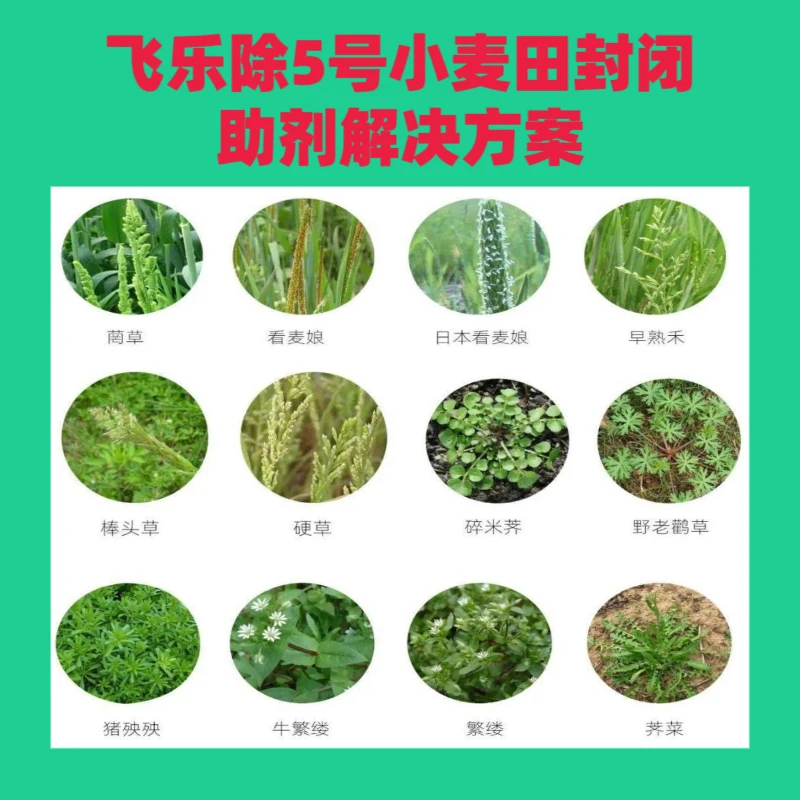 飞乐除5号小麦封闭助剂组合解决方案