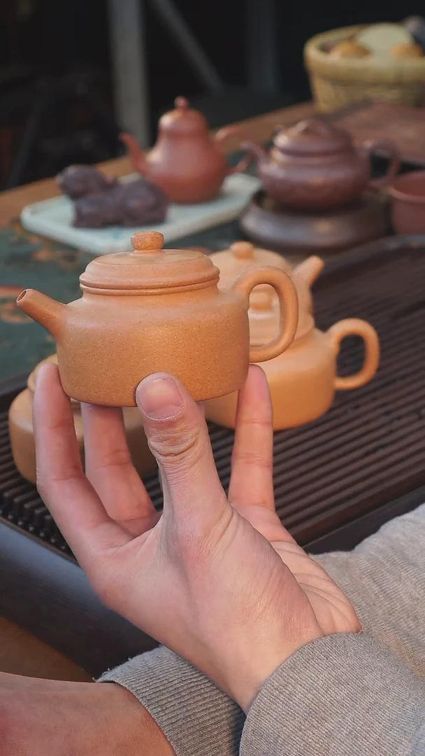 【闪购商品】紫砂茶壶wergerhgeqrh