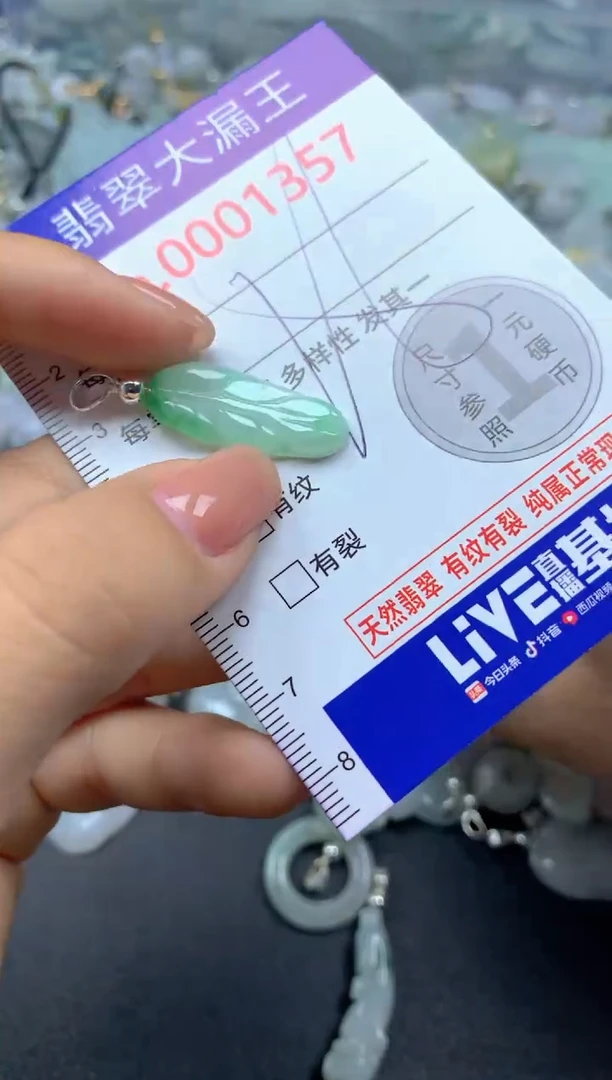 颈饰未镶嵌翡翠1357