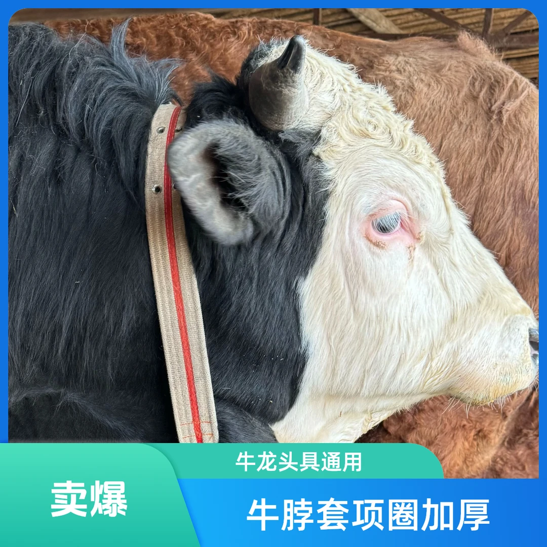 加厚牛脖套牛龙头栓牛脖套牛项圈牛笼头羊脖套通用育肥牛犬用项圈