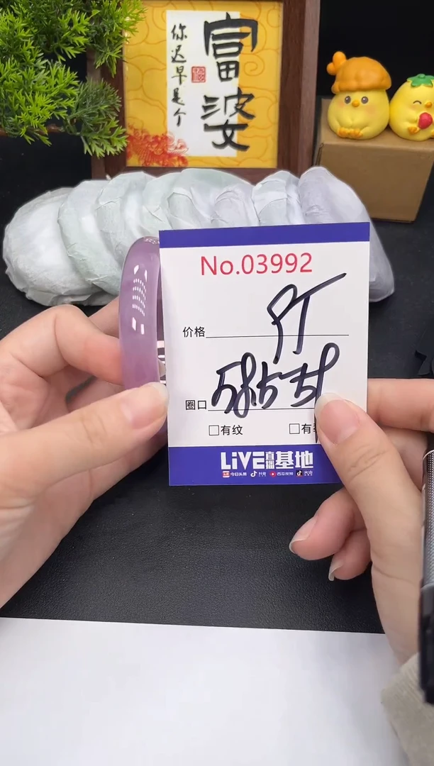 未镶嵌手镯翡翠3992