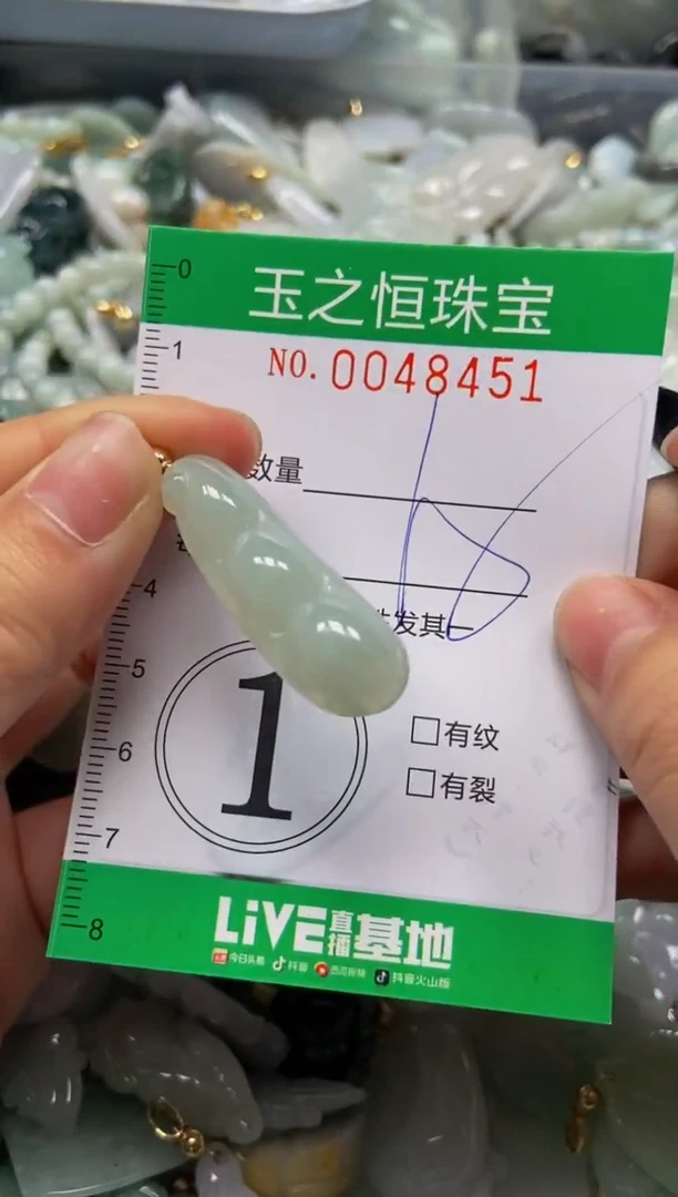 【闪购商品】翡翠颈饰未镶嵌闪购0048451