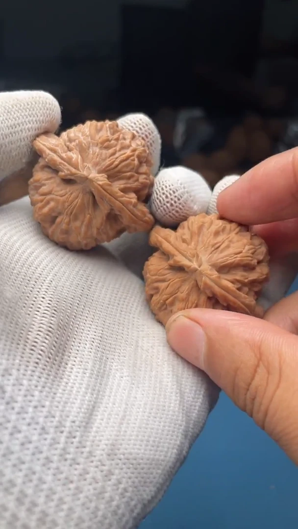 桃核把件a163  白狮子 40尺