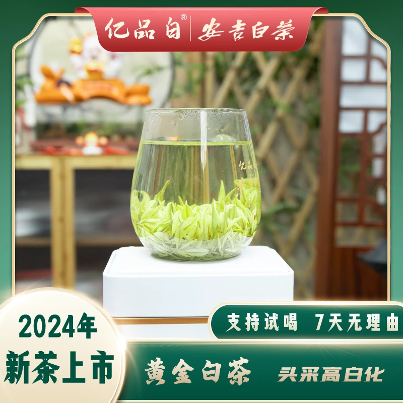 2024新茶【头采黄金白茶】安吉白茶正宗原产地新茶明前高山鲜爽特白