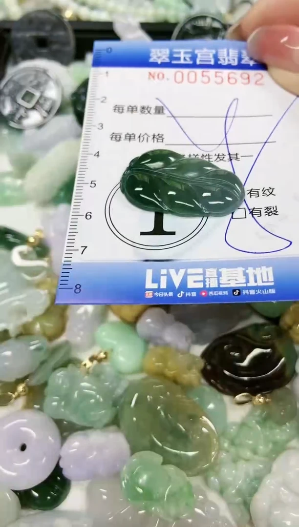 【闪购商品】翡翠颈饰未镶嵌闪购0055692