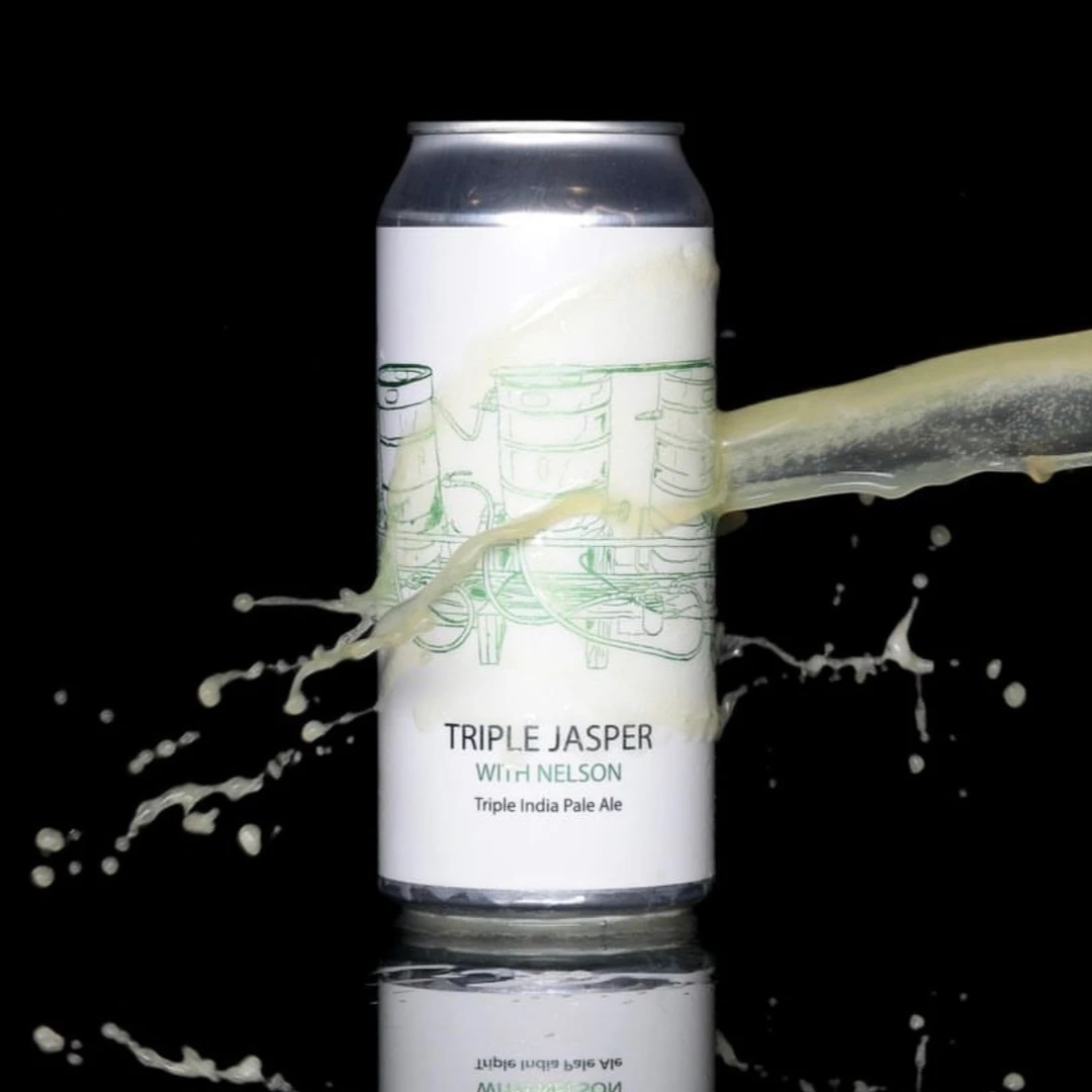 2罐包邮空运酒款专区 美国进口精酿啤酒浑浊IPA 费登斯/僧侣/鹦鹉