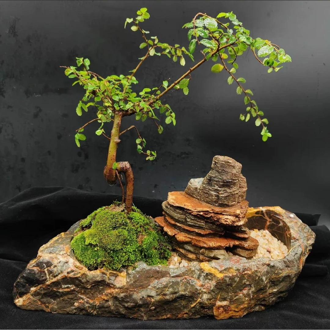 精品灵璧石花盆（随机发）