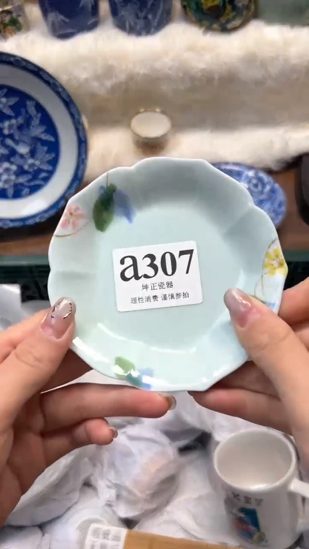 【闪购商品】瓷片          a307