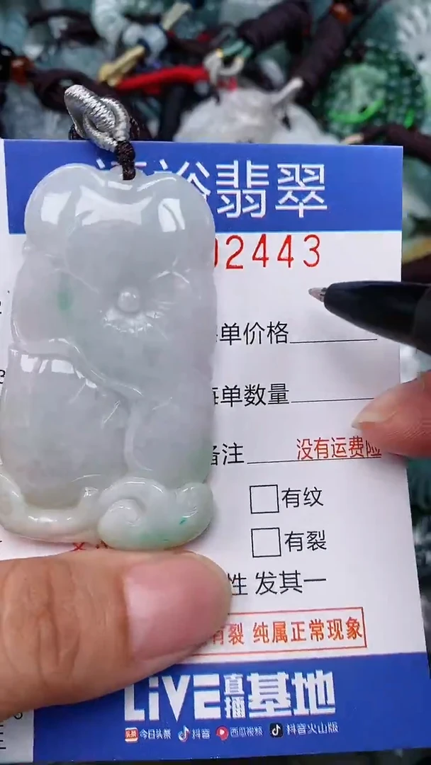 翡翠未镶嵌颈饰...0002443