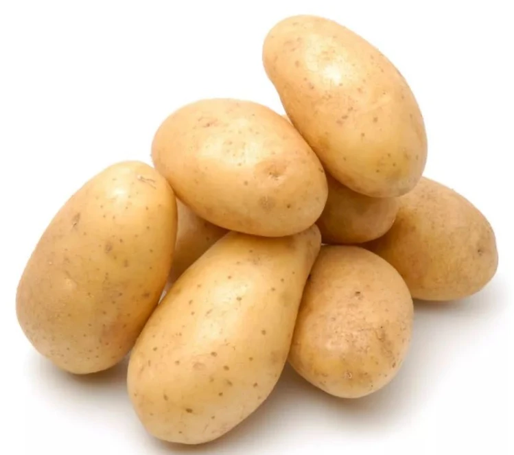 新洋芋（嫩土豆） 约5000g/份土豆同城配