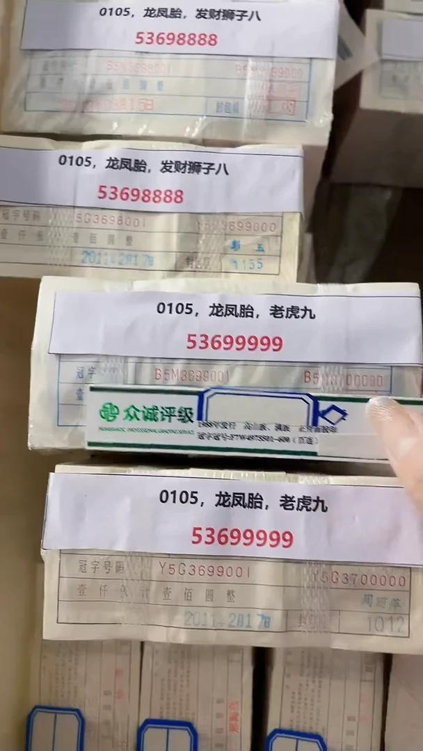 M  0105，龙凤胎，老虎九53699999