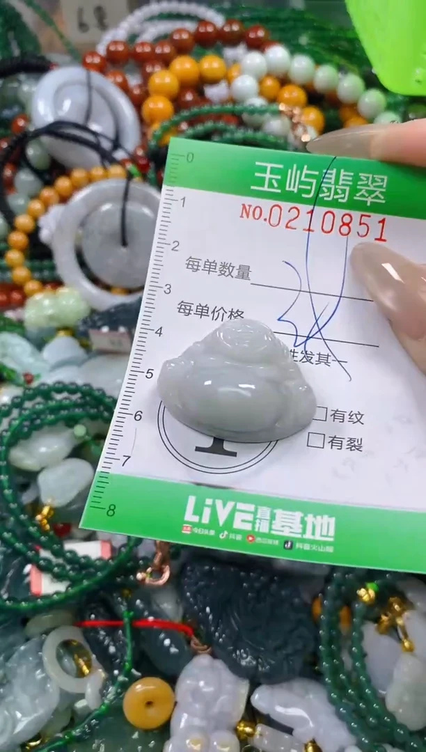 颈饰未镶嵌翡翠闪购0210851