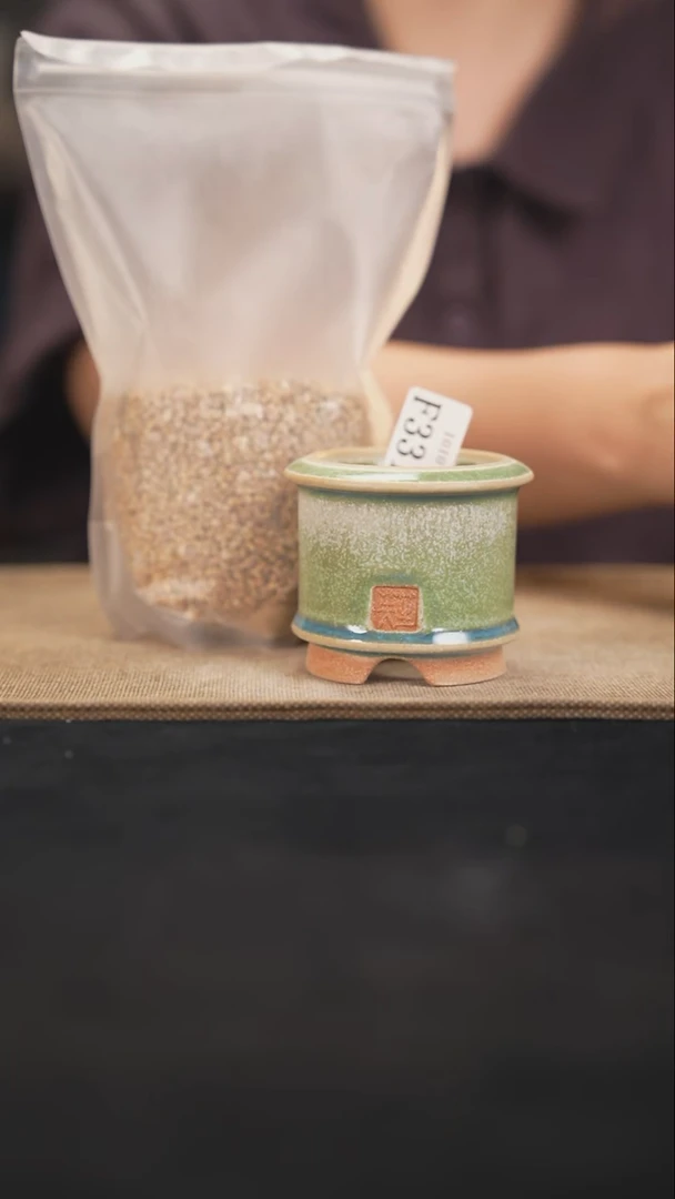 口径5.5花盆10-10-331赠麦饭石