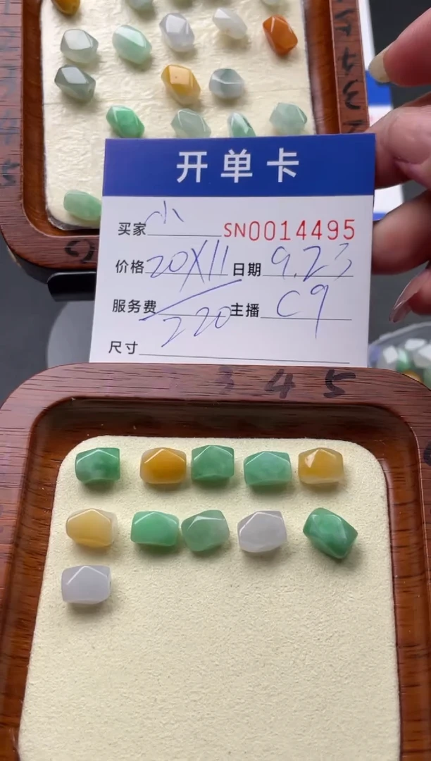 颈饰未镶嵌翡翠小*00014495