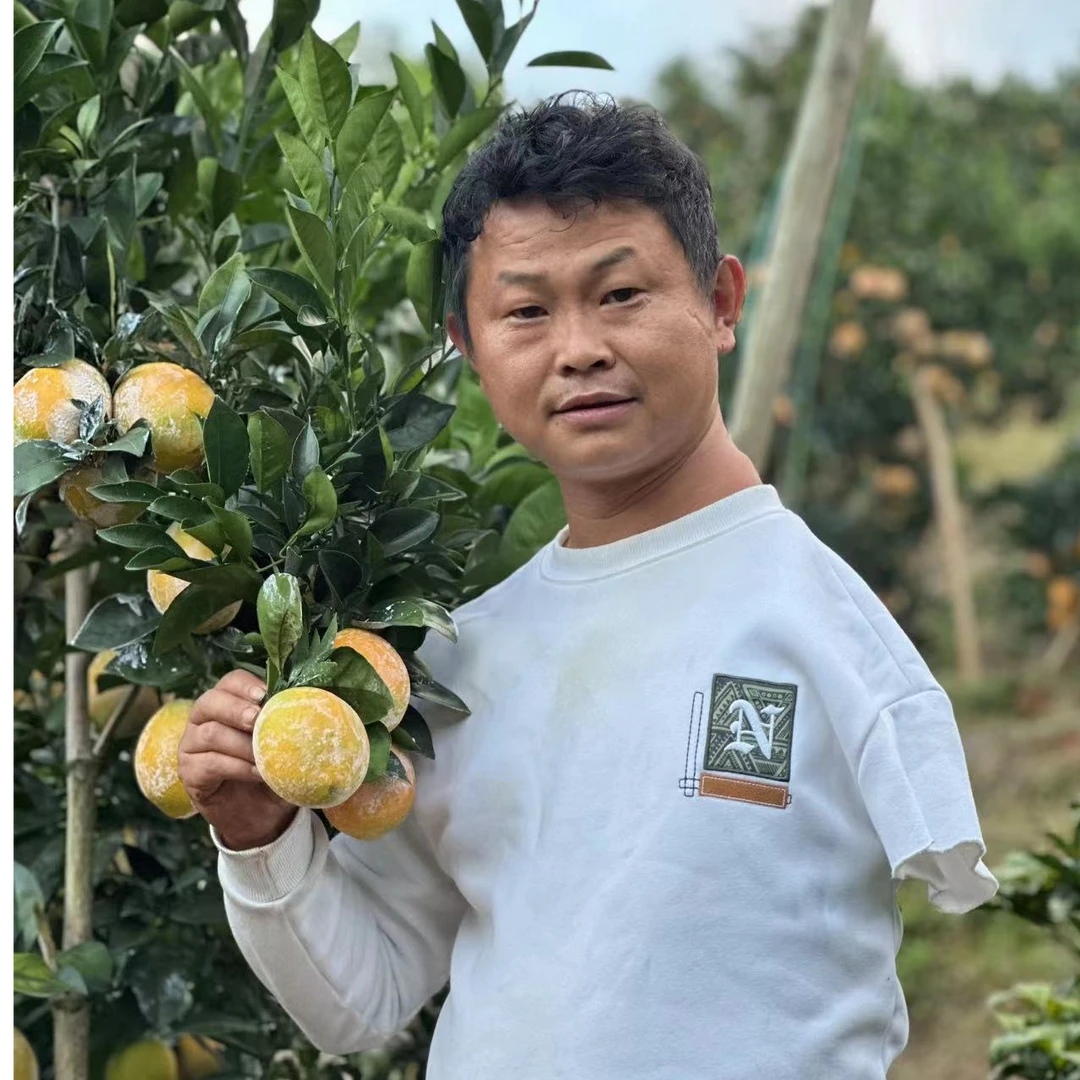 【半边哥专属】赣南脐橙新鲜水果包邮坏果包赔[正宗-原产地]