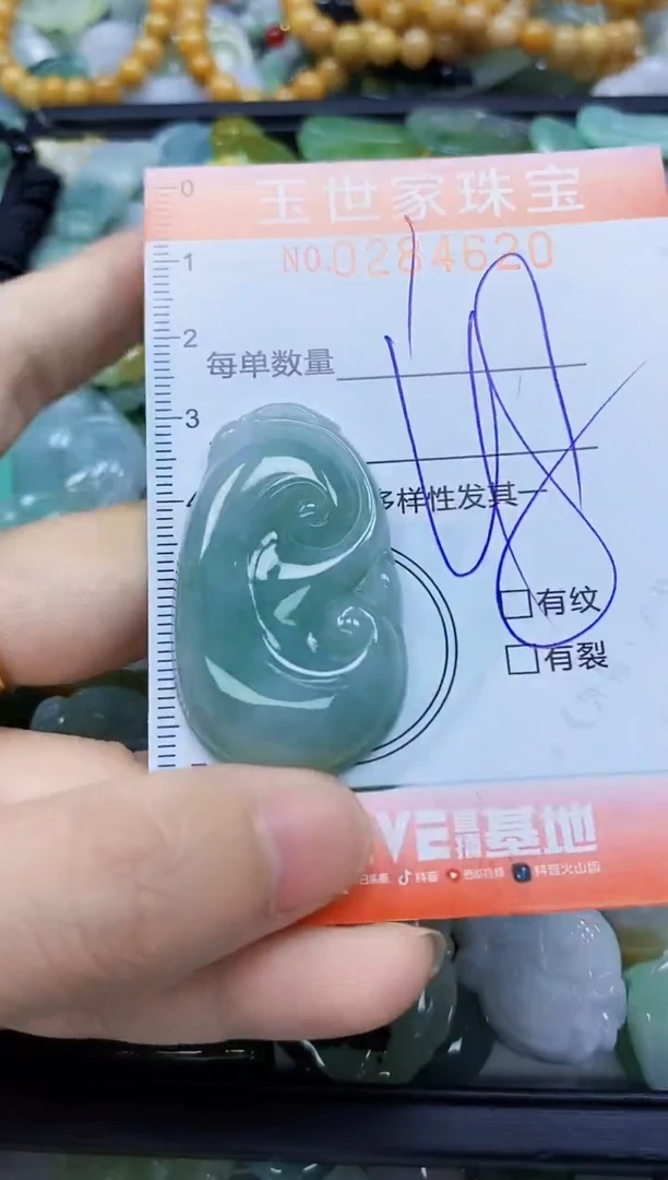 翡翠未镶嵌颈饰闪购0284620