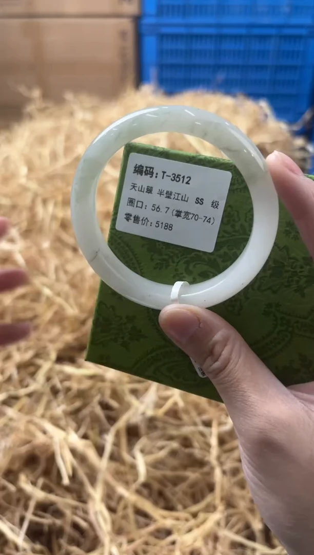 未镶嵌手镯石英质玉T-3512