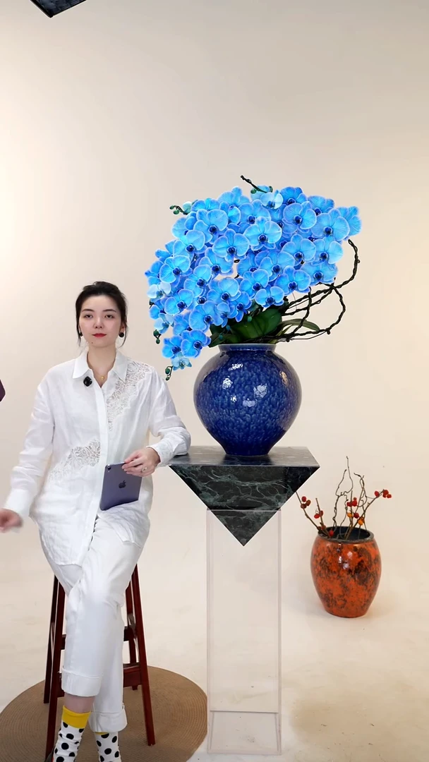 全部花朵018一物一拍蝴蝶兰盆景