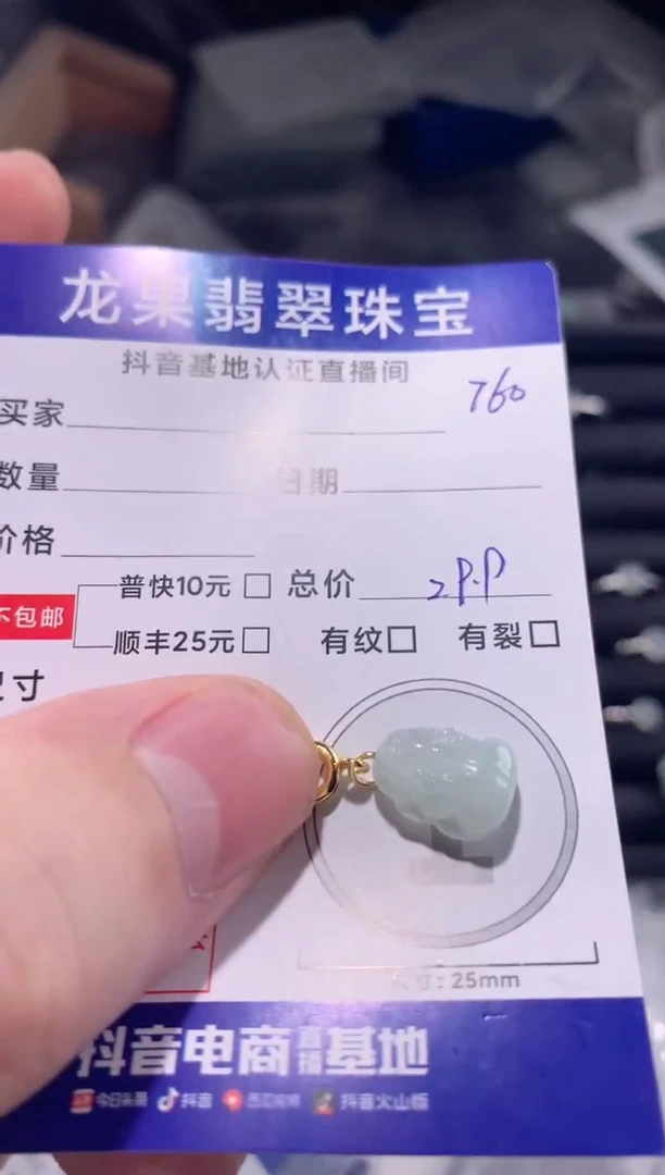 颈饰未镶嵌翡翠冰胶貔貅760