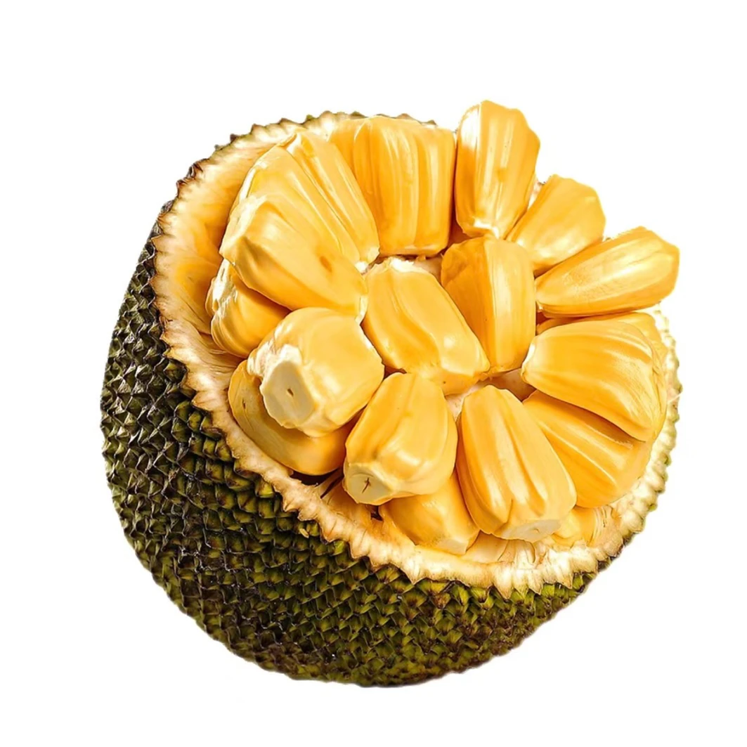 越南红肉6-7斤福利