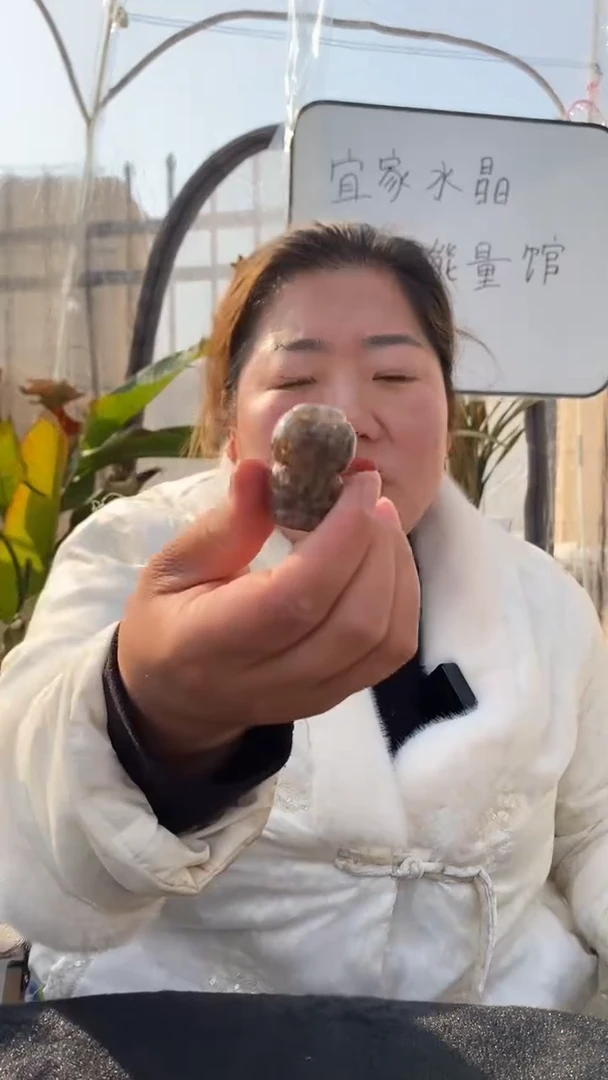 【闪购商品】水晶貔貅未镶嵌极光23貔貅DD359