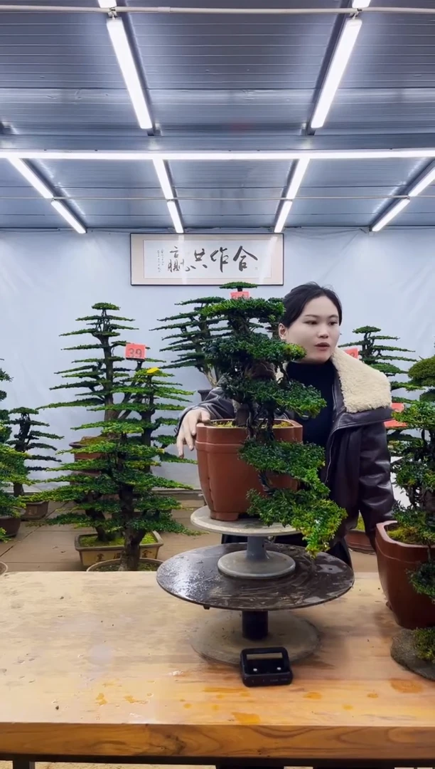 无花朵一物一拍，所见即所得