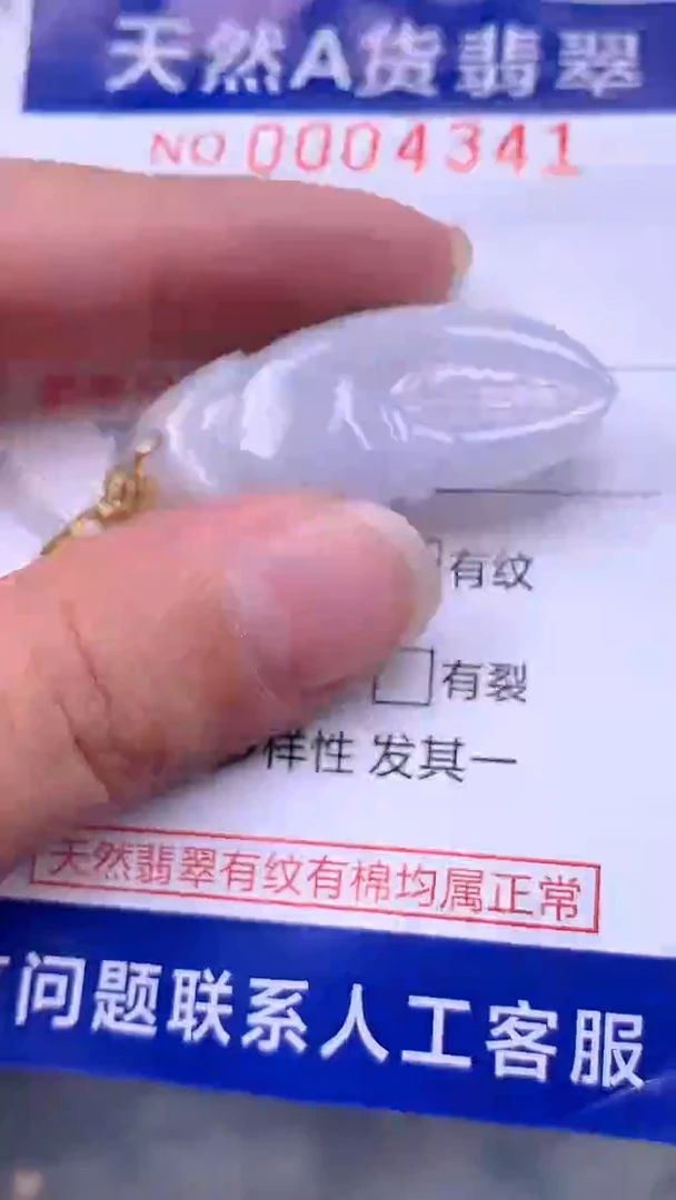 翡翠未镶嵌吊坠(不含链)1