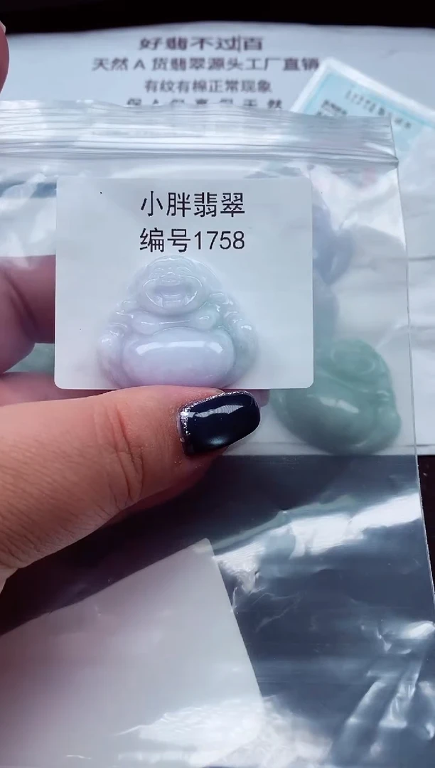 颈饰未镶嵌翡翠缅甸天然A货翡翠1758