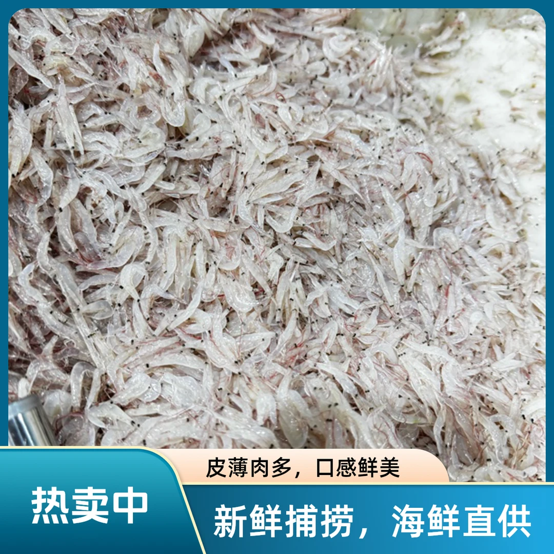新鲜雪虾渤海湾特产