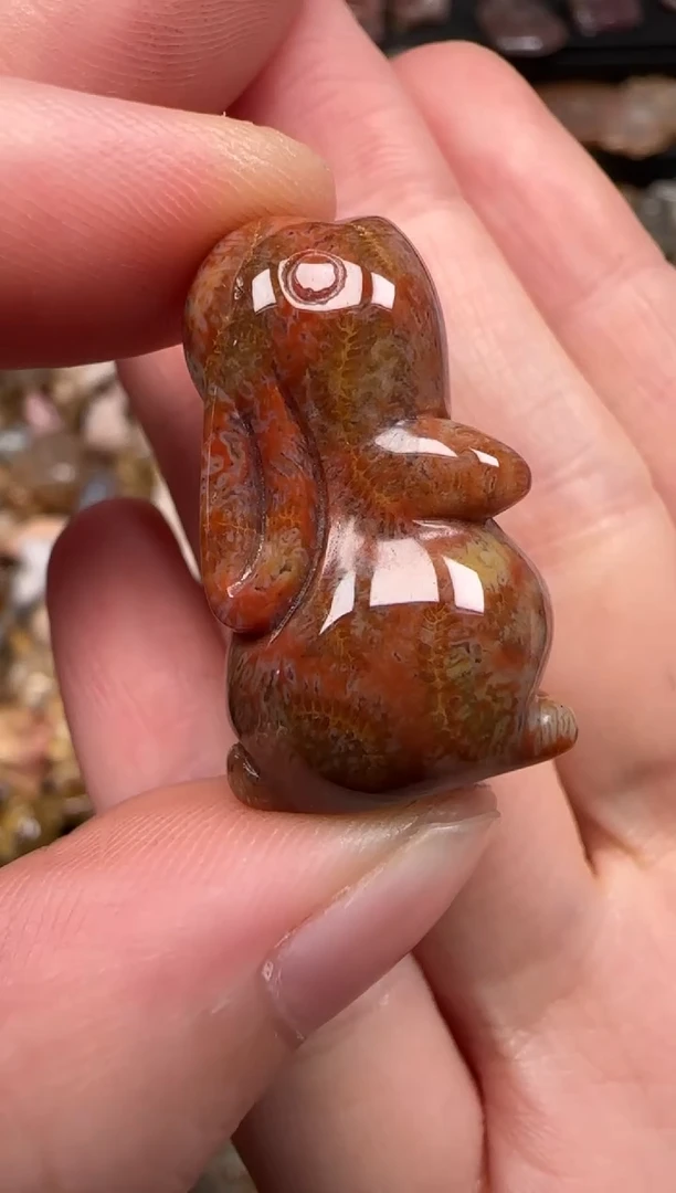 硅化珊瑚（珊瑚玉）未镶嵌颈饰358