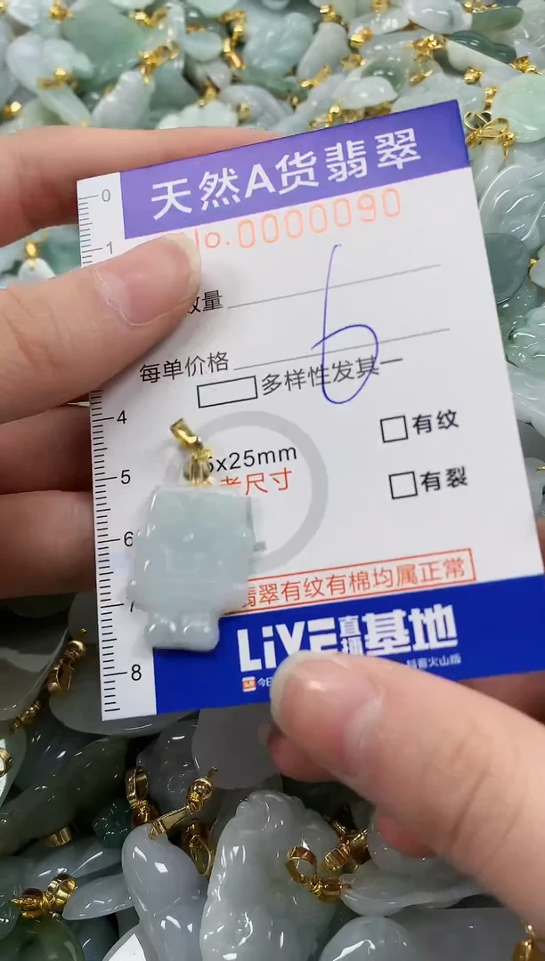 颈饰未镶嵌翡翠纯天然a货翡翠