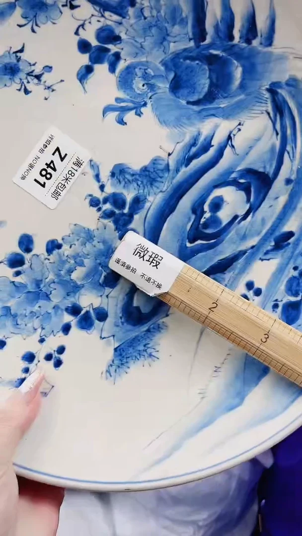 柳*柳Z481***************